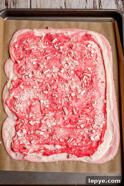 Sprinkle remaining candy cane pieces over bark.