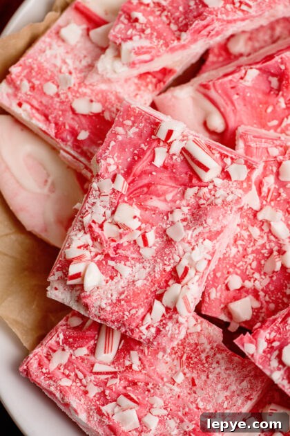 Close-up of candy cane bark.