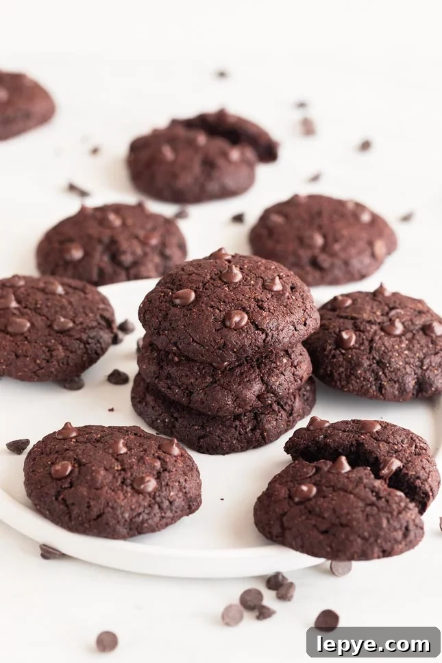Vegan Chocolate Cookies