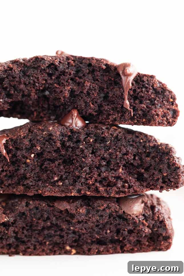 Vegan Chocolate Cookies