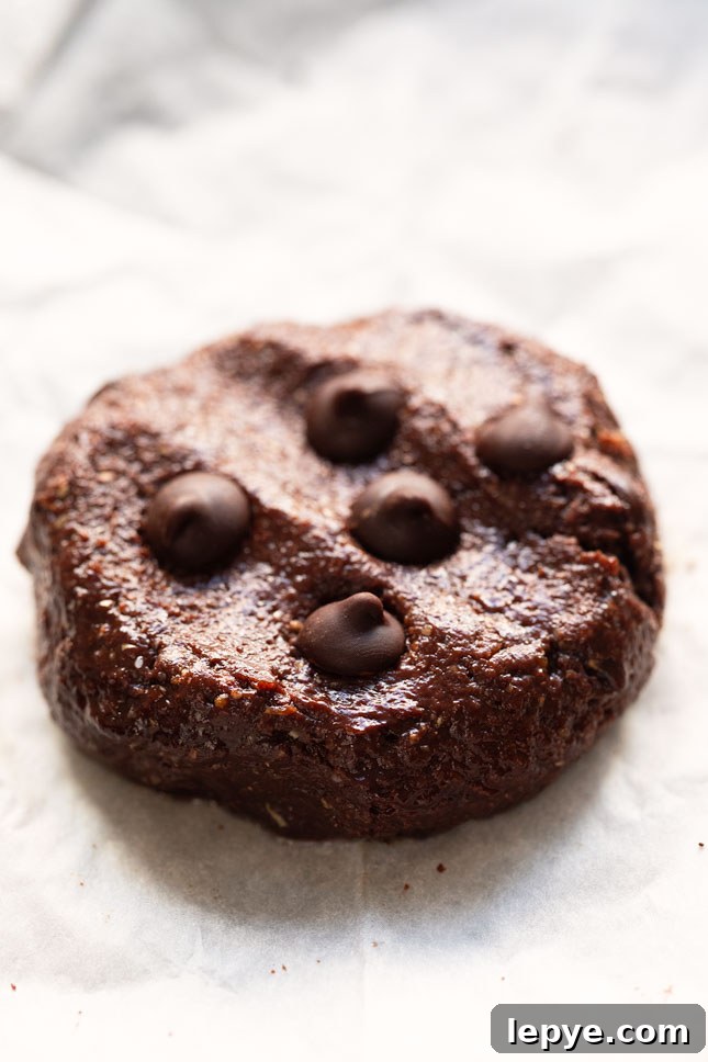 Vegan Chocolate Cookies