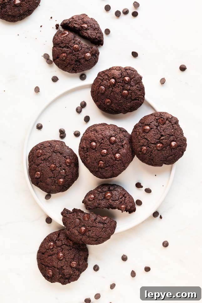 Vegan Chocolate Cookies