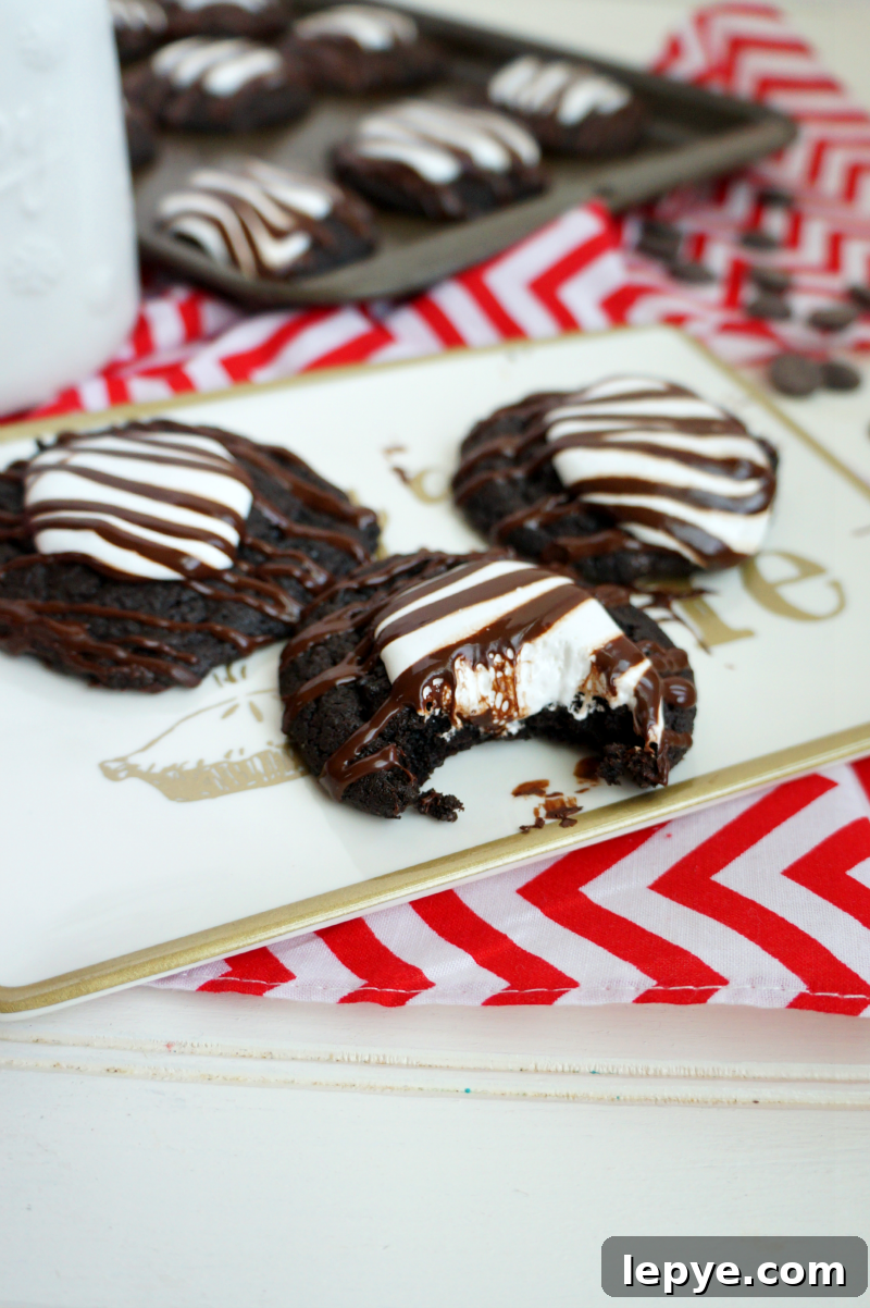 hot cocoa cookies | The Baking Fairy