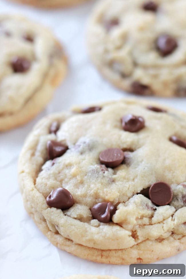 large bakery style chocolate chip cookie